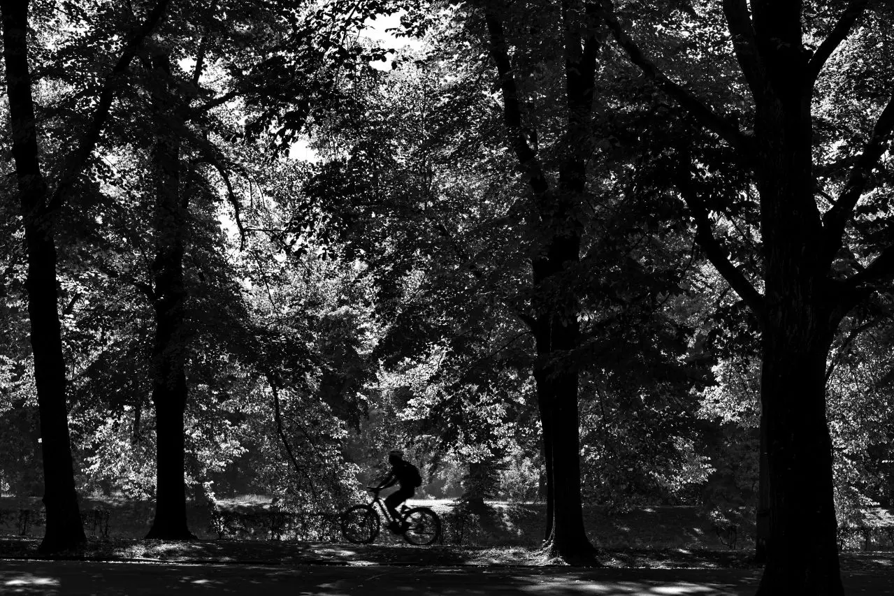 Fahrradfahrer im Park